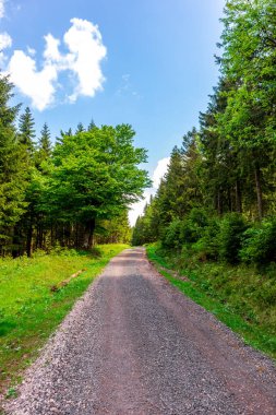 Thüringen Ormanı 'ndaki Oberhof yakınlarındaki yüksek kırlara yürüyün.