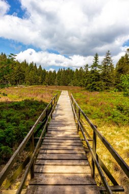 Thüringen Ormanı 'ndaki Oberhof yakınlarındaki yüksek kırlara yürüyün.