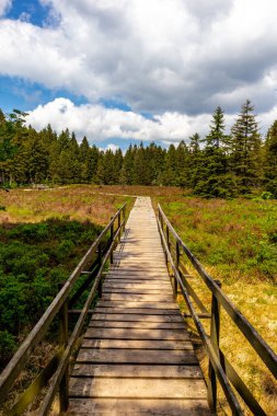 Thüringen Ormanı 'ndaki Oberhof yakınlarındaki yüksek kırlara yürüyün.