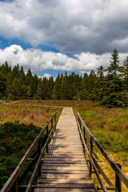 Thüringen Ormanı 'ndaki Oberhof yakınlarındaki yüksek kırlara yürüyün.