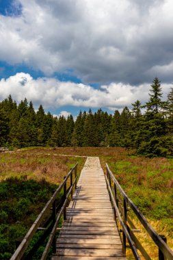 Thüringen Ormanı 'ndaki Oberhof yakınlarındaki yüksek kırlara yürüyün.