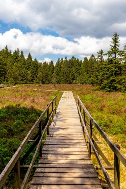 Thüringen Ormanı 'ndaki Oberhof yakınlarındaki yüksek kırlara yürüyün.