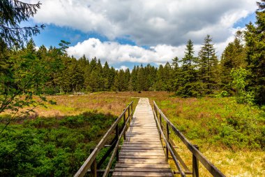 Thüringen Ormanı 'ndaki Oberhof yakınlarındaki yüksek kırlara yürüyün.