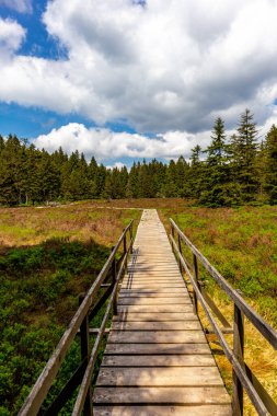 Thüringen Ormanı 'ndaki Oberhof yakınlarındaki yüksek kırlara yürüyün.