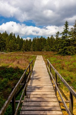 Thüringen Ormanı 'ndaki Oberhof yakınlarındaki yüksek kırlara yürüyün.