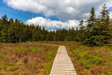 Thüringen Ormanı 'ndaki Oberhof yakınlarındaki yüksek kırlara yürüyün.