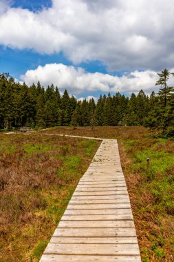 Thüringen Ormanı 'ndaki Oberhof yakınlarındaki yüksek kırlara yürüyün.