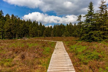 Thüringen Ormanı 'ndaki Oberhof yakınlarındaki yüksek kırlara yürüyün.