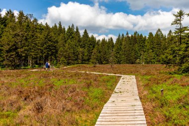 Thüringen Ormanı 'ndaki Oberhof yakınlarındaki yüksek kırlara yürüyün.