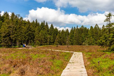 Thüringen Ormanı 'ndaki Oberhof yakınlarındaki yüksek kırlara yürüyün.