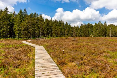 Thüringen Ormanı 'ndaki Oberhof yakınlarındaki yüksek kırlara yürüyün.
