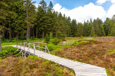 Thüringen Ormanı 'ndaki Oberhof yakınlarındaki yüksek kırlara yürüyün.