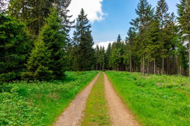 Thüringen Ormanı 'ndaki Oberhof yakınlarındaki yüksek kırlara yürüyün.