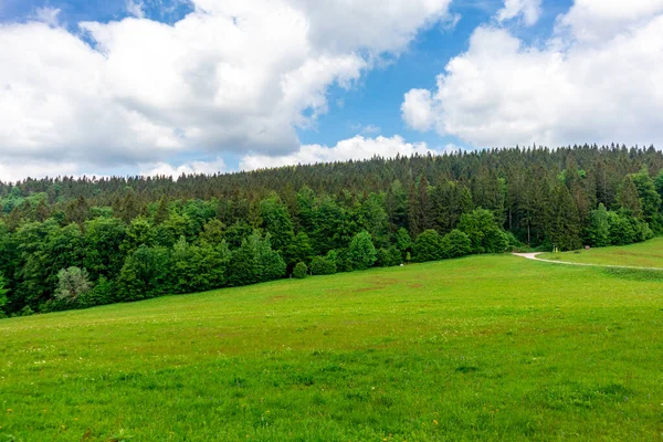 Wycieczka Wrzosowisko Pobliżu Oberhof Lesie Turyngii Turyngia Niemcy — Zdjęcie stockowe