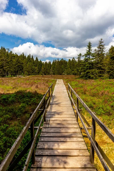 Thüringen Ormanı 'ndaki Oberhof yakınlarındaki yüksek kırlara yürüyün.