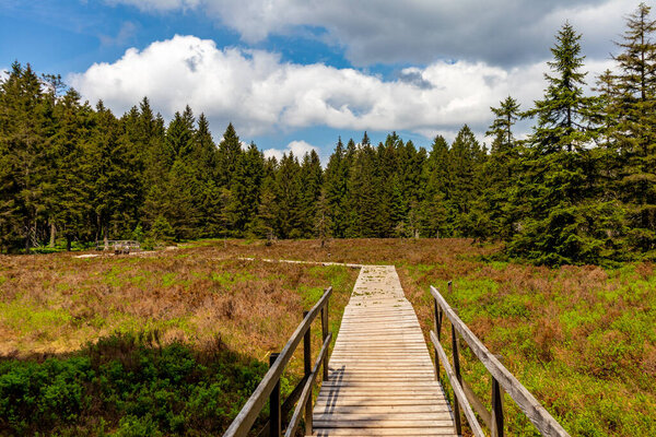 Hike to the high moor near Oberhof in the Thuringian Forest - Thuringia - Germany