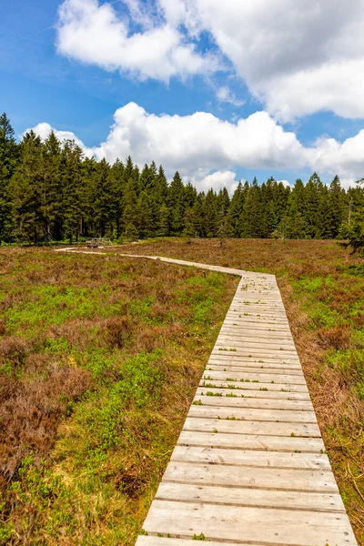 Hike High Moor Oberhof Thuringian Forest Thuringia Germany — Stock Photo, Image