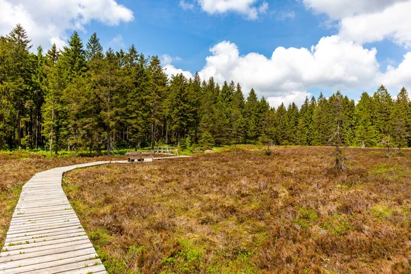 Wanderung Ins Hochmoor Bei Oberhof Thüringer Wald Thüringen Deutschland — Stockfoto