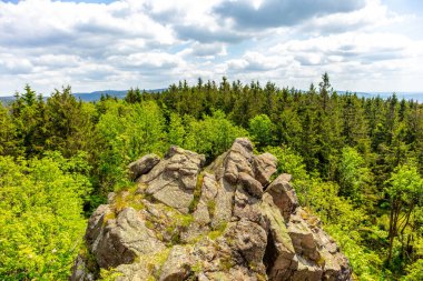 Thüringen Ormanı 'ndaki Oberhof yakınlarındaki yüksek kırlara yürüyün.