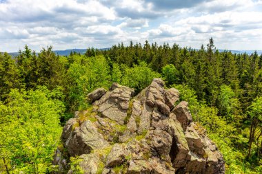 Thüringen Ormanı 'ndaki Oberhof yakınlarındaki yüksek kırlara yürüyün.