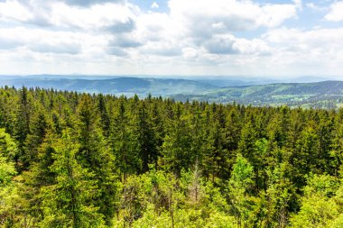 Thüringen Ormanı 'ndaki Oberhof yakınlarındaki yüksek kırlara yürüyün.