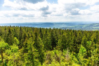 Thüringen Ormanı 'ndaki Oberhof yakınlarındaki yüksek kırlara yürüyün.