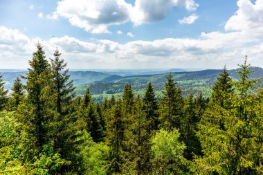 Thüringen Ormanı 'ndaki Oberhof yakınlarındaki yüksek kırlara yürüyün.