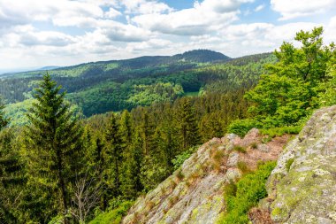 Thüringen Ormanı 'ndaki Oberhof yakınlarındaki yüksek kırlara yürüyün.