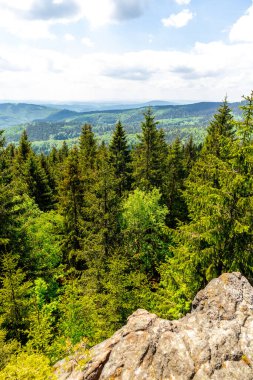 Thüringen Ormanı 'ndaki Oberhof yakınlarındaki yüksek kırlara yürüyün.