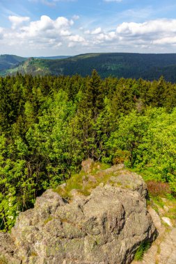 Thüringen Ormanı 'ndaki Oberhof yakınlarındaki yüksek kırlara yürüyün.