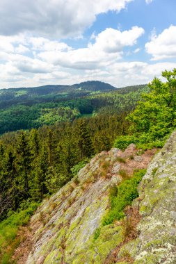 Thüringen Ormanı 'ndaki Oberhof yakınlarındaki yüksek kırlara yürüyün.