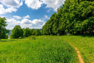 Thüringen Ormanı 'ndaki Oberhof yakınlarındaki yüksek kırlara yürüyün.