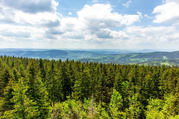 Caminata Páramo Alto Cerca Oberhof Bosque Turingia Turingia Alemania — Foto de Stock