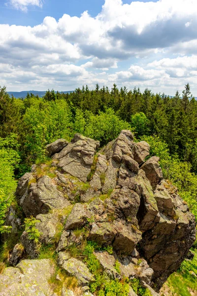 Wycieczka Wrzosowisko Pobliżu Oberhof Lesie Turyngii Turyngia Niemcy — Zdjęcie stockowe