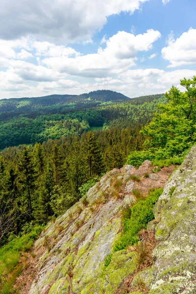 Caminhada Para Charneca Alta Perto Oberhof Floresta Turíngia Turíngia Alemanha — Fotografia de Stock