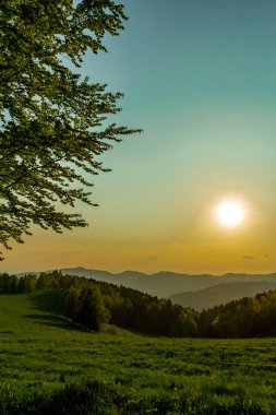 Thüringen Ormanı 'nın tepelerinde, Floh-Seligenthal - Thüringen - Almanya 