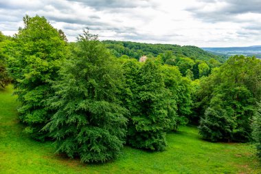 Bad Liebenstein - Thuringia - Almanya yakınlarındaki Altenstein 'daki güzel parkta yaz yürüyüşü.