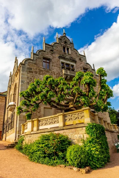 Bad Liebenstein - Thuringia - Almanya yakınlarındaki Altenstein 'daki güzel parkta yaz yürüyüşü.