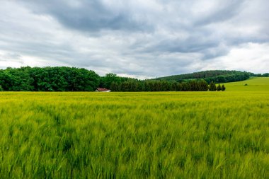 Bad Liebenstein - Thüringen - Almanya yakınlarındaki arazide yaz yürüyüşü 