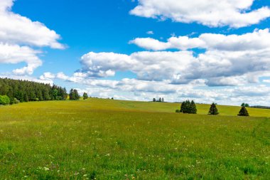 Neustadt am Rennsteig yakınlarındaki Thuringian Ormanı 'nın zirvesinde, Thüringen - Almanya