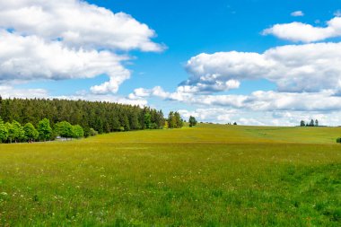 Neustadt am Rennsteig yakınlarındaki Thuringian Ormanı 'nın zirvesinde, Thüringen - Almanya