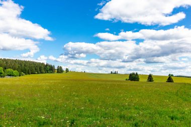 Neustadt am Rennsteig yakınlarındaki Thuringian Ormanı 'nın zirvesinde, Thüringen - Almanya