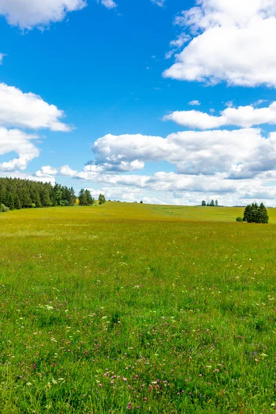 Unterwegs Auf Den Höhen Des Thüringer Waldes Bei Neustadt Rennsteig — Stockfoto