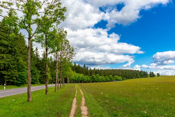 Way Heights Thuringian Forest Neustadt Rennsteig Thuringia Germany — Stock Photo, Image