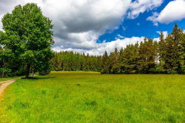 Oberweibach - Thüringen - Almanya yakınlarındaki Leibis-Lichte barajı etrafında yürüyüş