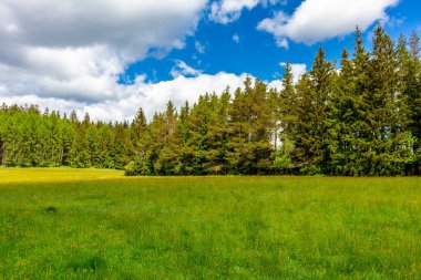 Oberweibach - Thüringen - Almanya yakınlarındaki Leibis-Lichte barajı etrafında yürüyüş