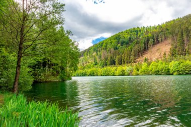 Oberweibach - Thüringen - Almanya yakınlarındaki Leibis-Lichte barajı etrafında yürüyüş