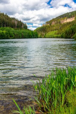 Oberweibach - Thüringen - Almanya yakınlarındaki Leibis-Lichte barajı etrafında yürüyüş