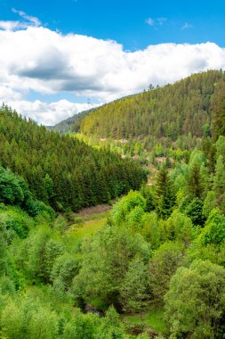 Oberweibach - Thüringen - Almanya yakınlarındaki Leibis-Lichte barajı etrafında yürüyüş