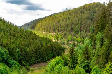 Oberweibach - Thüringen - Almanya yakınlarındaki Leibis-Lichte barajı etrafında yürüyüş